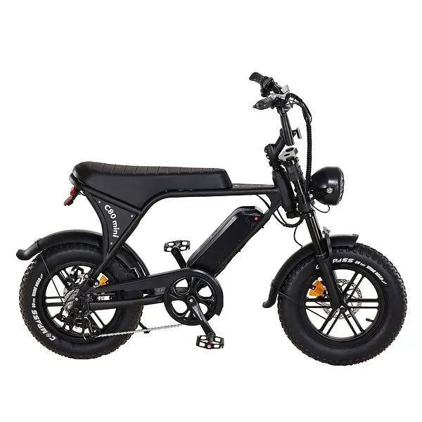 C80 mini 500 WATT + Achterzitje + Voetsteuntjes + Alarm